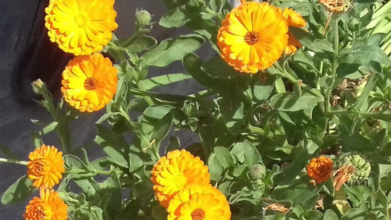 솔토 콜리나 La Casa Delle Fate 빌라 외부 사진